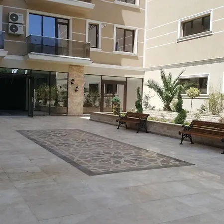 Solid 387 E6 מאמאיה