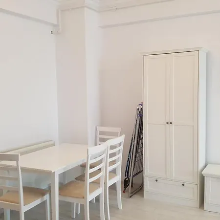 Solid 387 E6 Mamaia